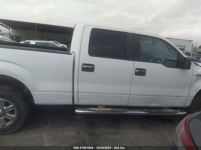 2014 FORD F-150 XLT VIN: 1FTFW1EF2EKG04396