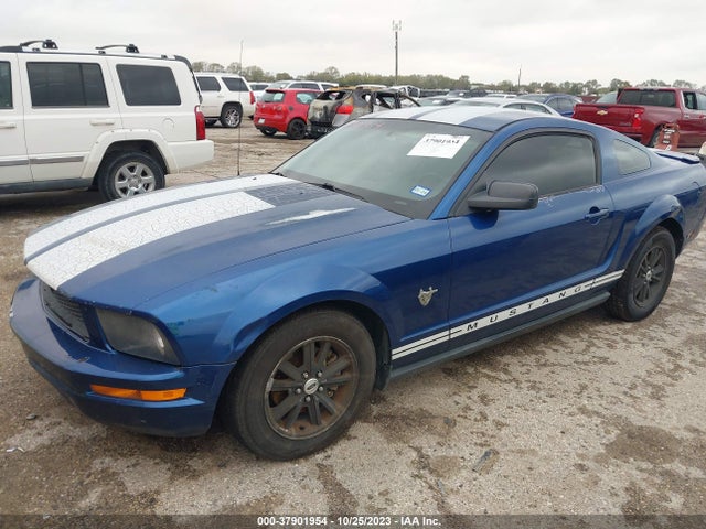 2009 FORD MUSTANG VIN: 1ZVHT80N595124993