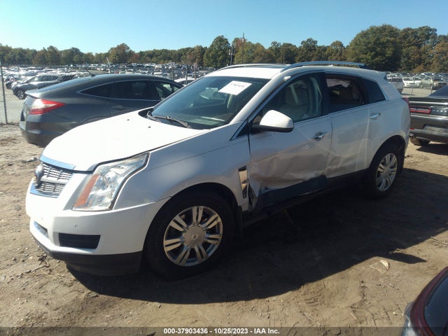 2011 CADILLAC SRX LUXURY COLLECTION VIN: 3GYFNAEY5BS634586