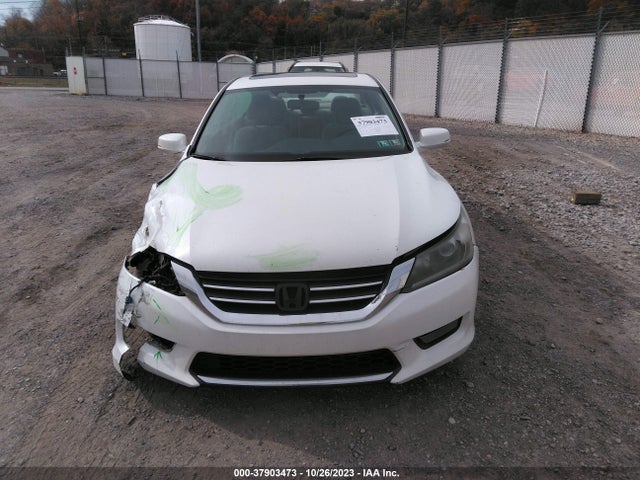 Honda ACCORD EX 2014 1HGCR2F74EA229772 Image 12