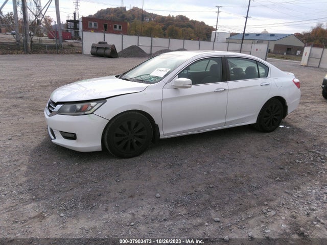 Honda ACCORD EX 2014 1HGCR2F74EA229772 Image 2