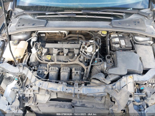 1FADP3F29GL405344 Ford FOCUS SE
