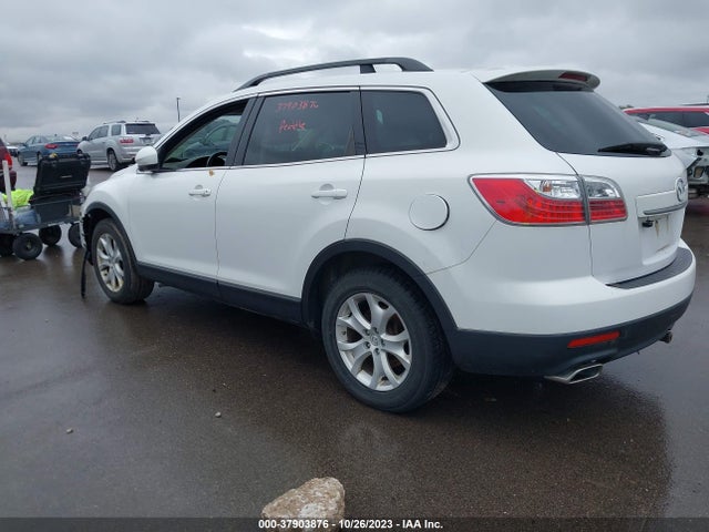 2011 MAZDA CX-9 TOURING VIN: JM3TB3CVXB0315981