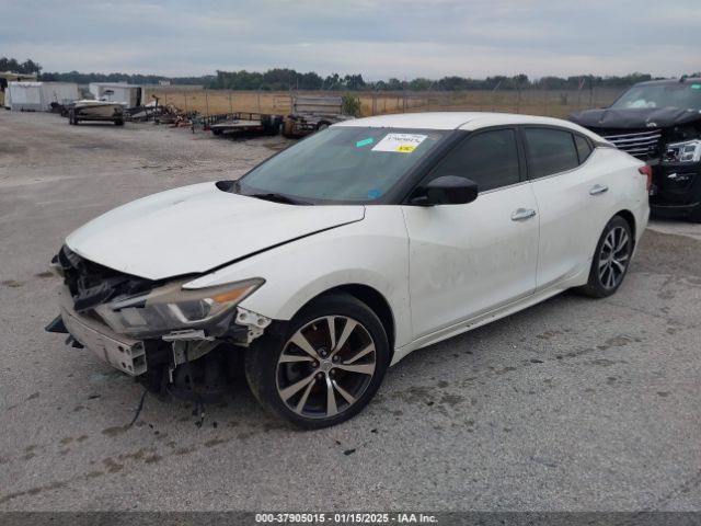 1N4AA6AP9HC396932 Nissan Maxima 3.5 S