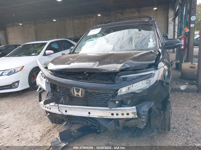 Honda Passport Elite 2019 5FNYF8H02KB003281 Image 11