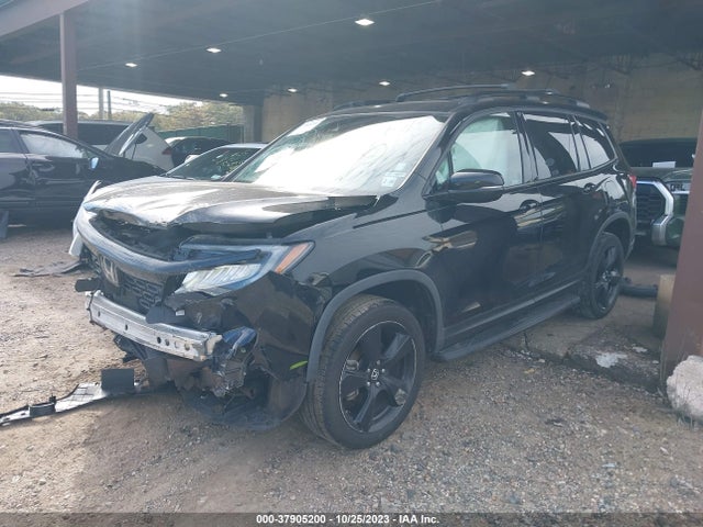 Honda Passport Elite 2019 5FNYF8H02KB003281 Image 2