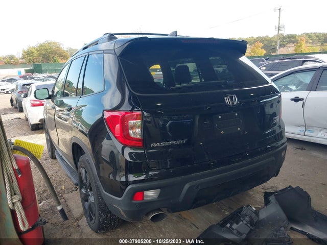 Honda Passport Elite 2019 5FNYF8H02KB003281 Image 3