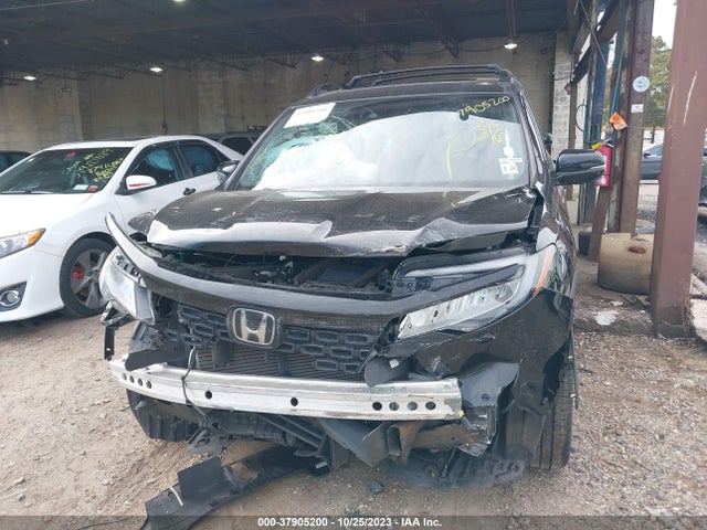 Honda Passport Elite 2019 5FNYF8H02KB003281 Image 6