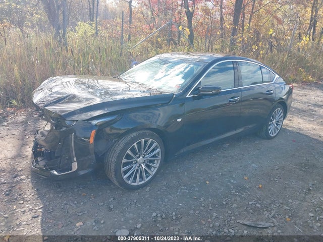 1G6DT5RK5L0116215 Cadillac Ct5 Premium Luxury