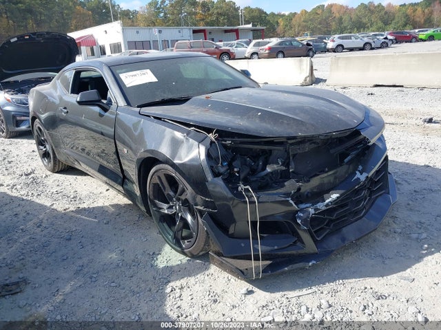 2019 1G1FB1RX8K0155675 main image