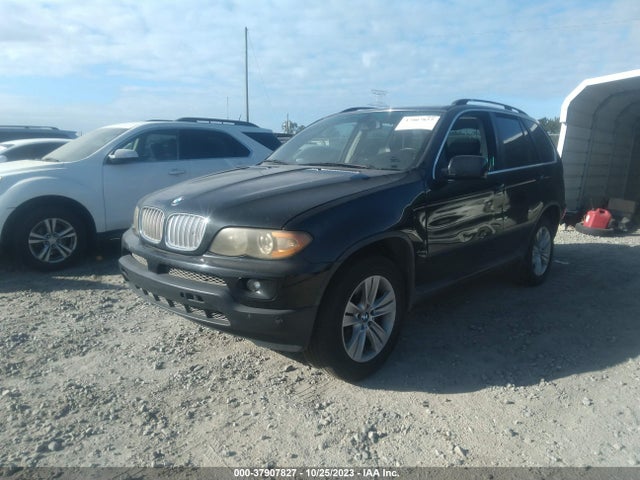 2006 BMW X5 4.4I VIN: 5UXFB53566LV25515