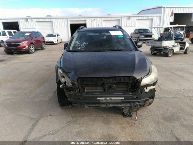 2013 SUBARU XV CROSSTREK VIN: JF2GPAKC6D1887449