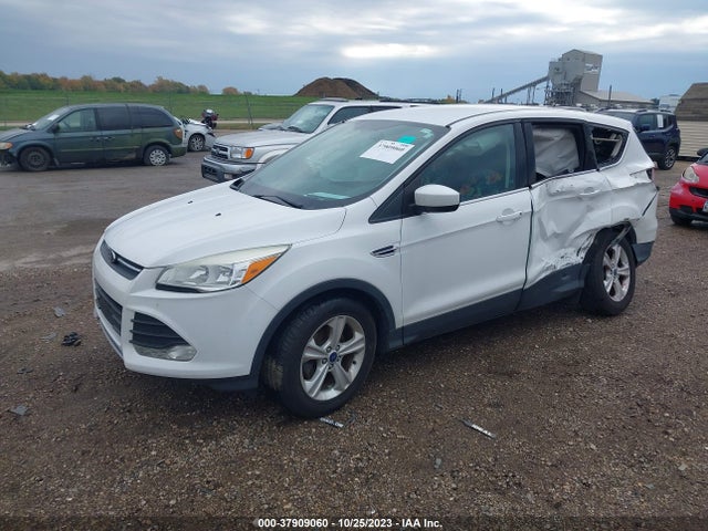 2014 FORD ESCAPE SE VIN: 1FMCU0GX4EUE15239