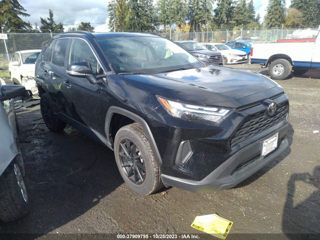 Toyota Rav4 Xle 2022 2T3P1RFV5NC317831 Image 1