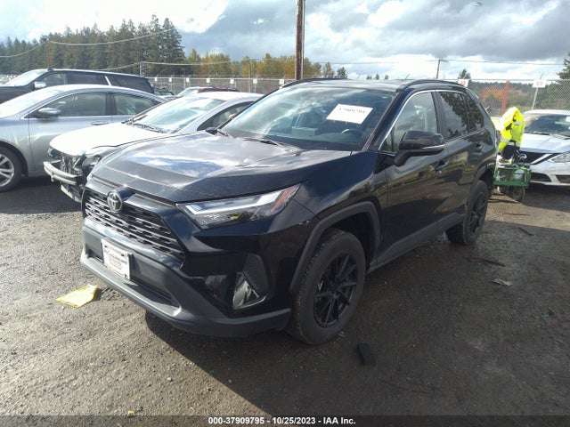Toyota Rav4 Xle 2022 2T3P1RFV5NC317831 Image 2