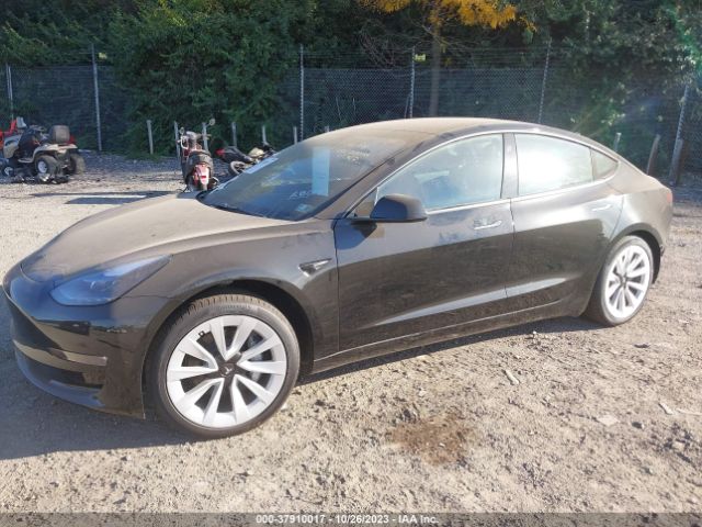 5YJ3E1EB7PF393375 Tesla Model 3 Long Range Dual Motor All-wheel Drive