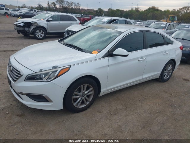 Hyundai Sonata 2.4l Se 2016 5NPE24AF1GH340149 Image 2