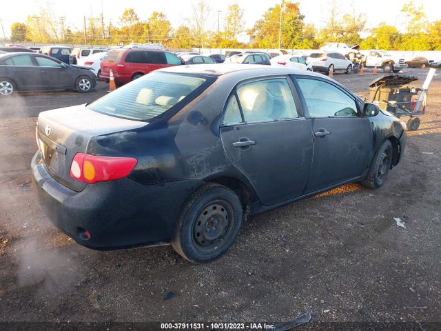 2010 TOYOTA COROLLA VIN: 2T1BU4EE1AC237497