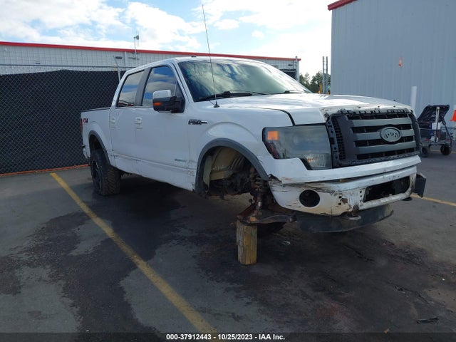 2013 FORD F-150 FX4 VIN: 1FTFW1ET8DFB36848