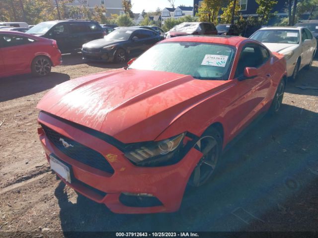 1FA6P8AM7G5265930 Ford Mustang V6