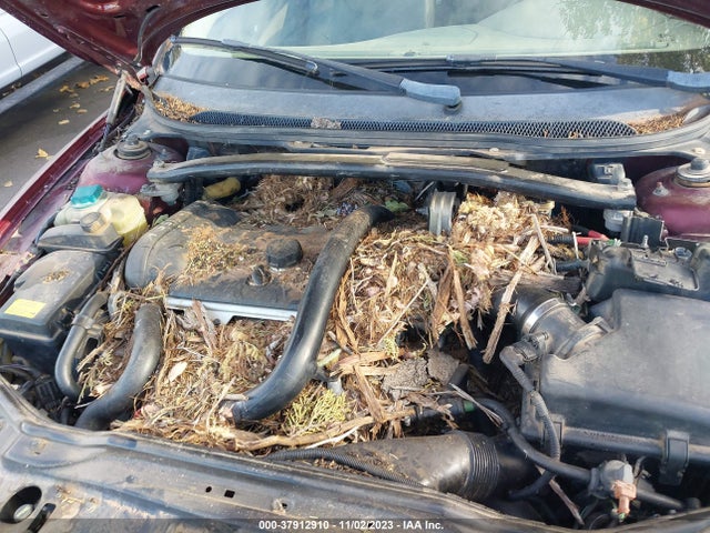 37912910 :رقم المزاد ، YV4SZ592161230579 vin ، 2006 Volvo Xc70 مزاد بيع