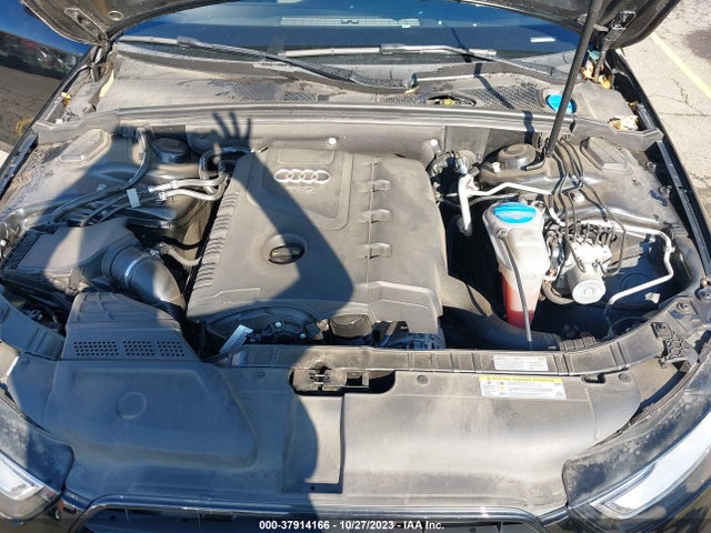 WAUBFAFL8GN013765 Audi A4 PREMIUM