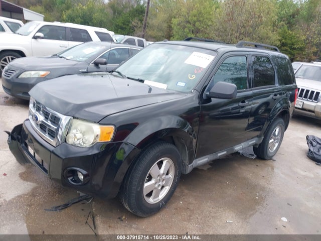 2012 FORD ESCAPE XLT VIN: 1FMCU0DG8CKB06161