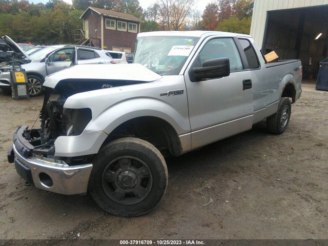 2011 FORD F-150 XLT VIN: 1FTFX1EF5BKD26568