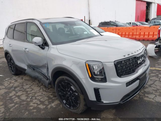 Auction sale of the 2022 Kia Telluride Ex, vin: 5XYP3DHCXNG300514, lot number: 37917720