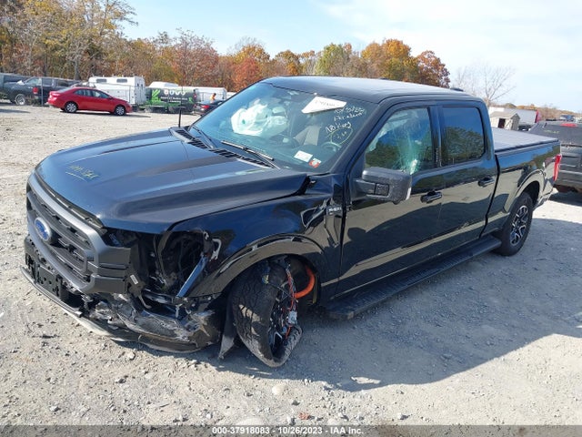 2023 FORD F-150 XL/XLT/LARIAT VIN: 1FTFW1E89PFB32890