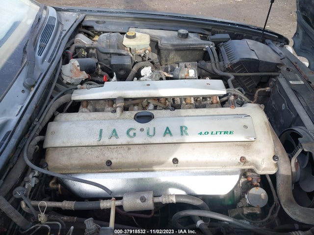 1995 JAGUAR VANDENPLAS SAJKX1745SC741007 Photo 9