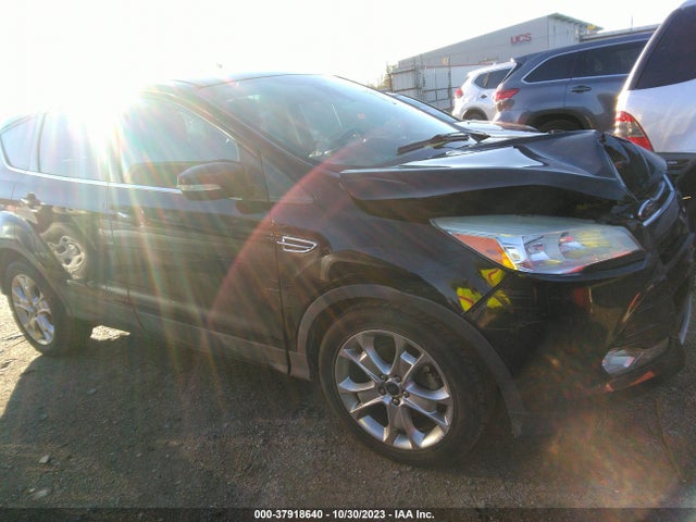 2013 FORD ESCAPE SEL VIN: 1FMCU0HX4DUD68713