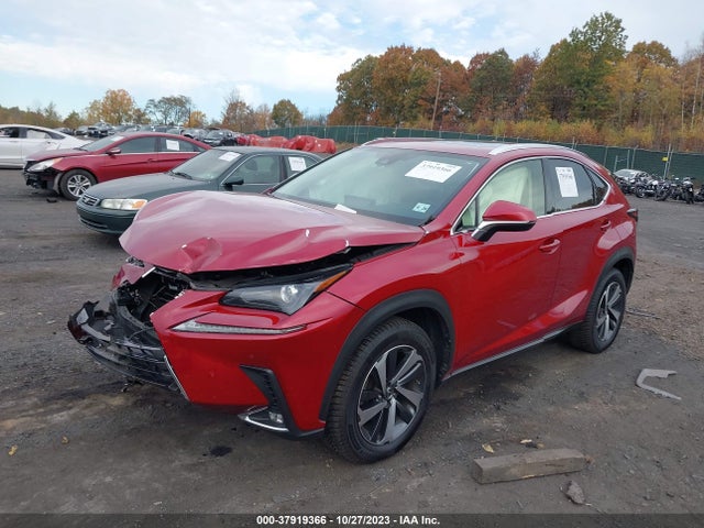 JTJBARBZ8K2215054 Lexus Nx Nx 300