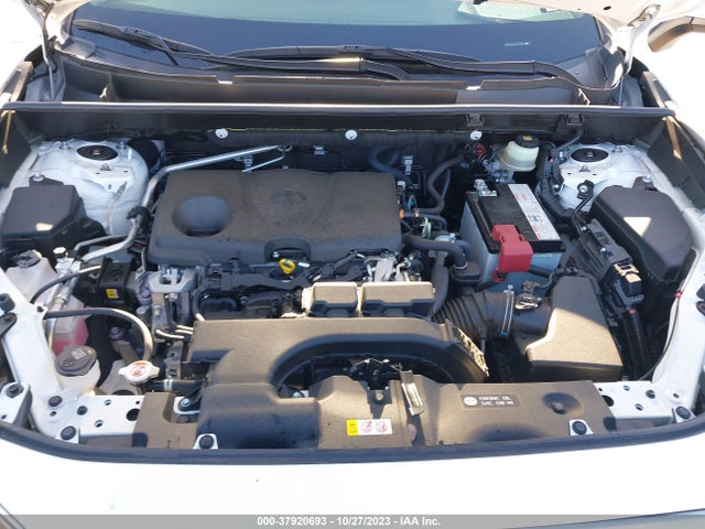 2019 TOYOTA RAV4 XLE VIN: JTMP1RFV0KD022367