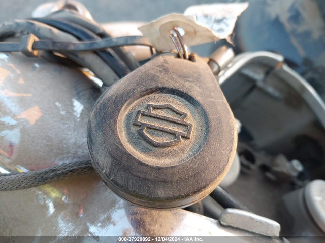 2021 HARLEY-DAVIDSON FLHR 1HD1FBC26MB613857 Photo 10