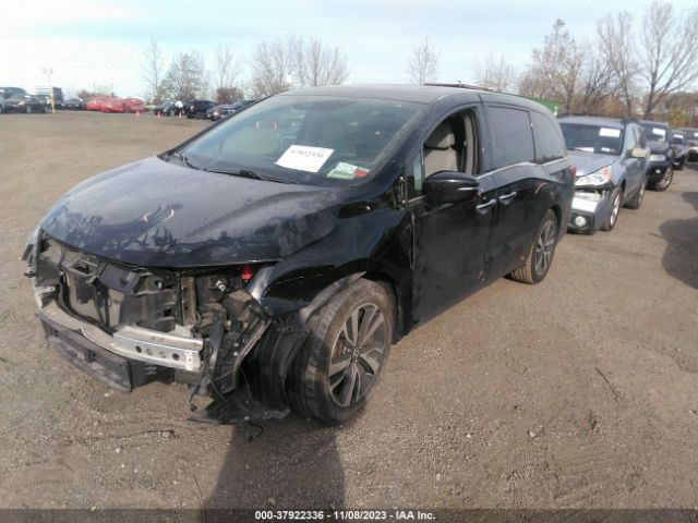 5FNRL6H92JB047151 Honda Odyssey Elite