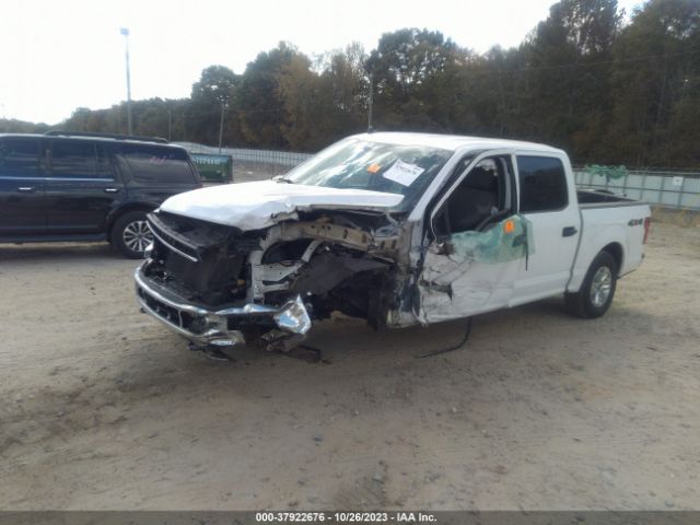 1FTEW1E49KKC53010 Ford F-150 Xlt