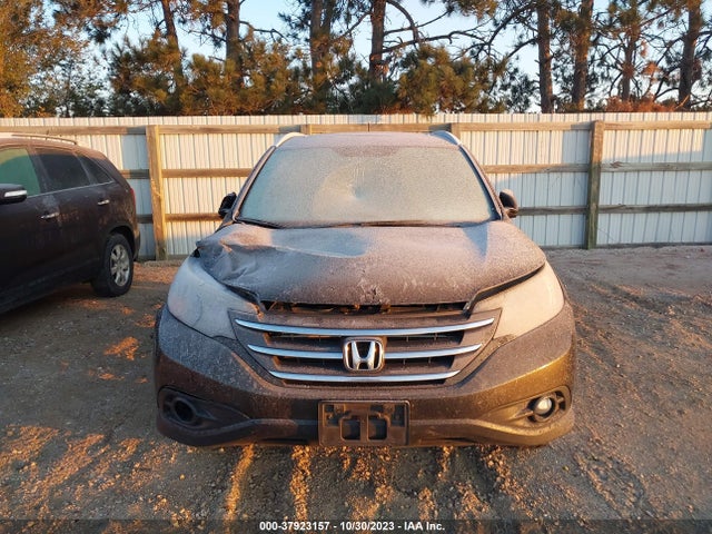 2013 HONDA CR-V EX-L VIN: 5J6RM4H71DL002309