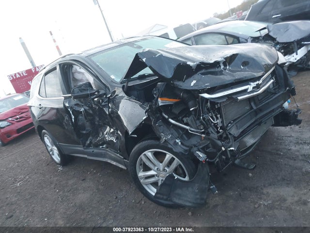 2019 3GNAXYEXXKL231733 main image