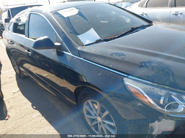 Hyundai SONATA SE 2019 5NPE24AF0KH733746 Image 12