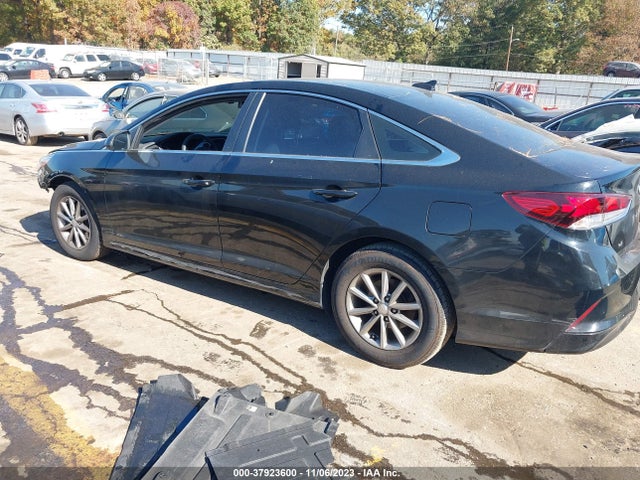 Hyundai SONATA SE 2019 5NPE24AF0KH733746 Image 13