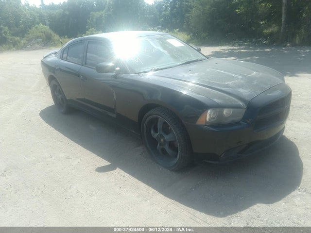 Dodge CHARGER R/T 2014 2C3CDXDT7EH224226 Image 1