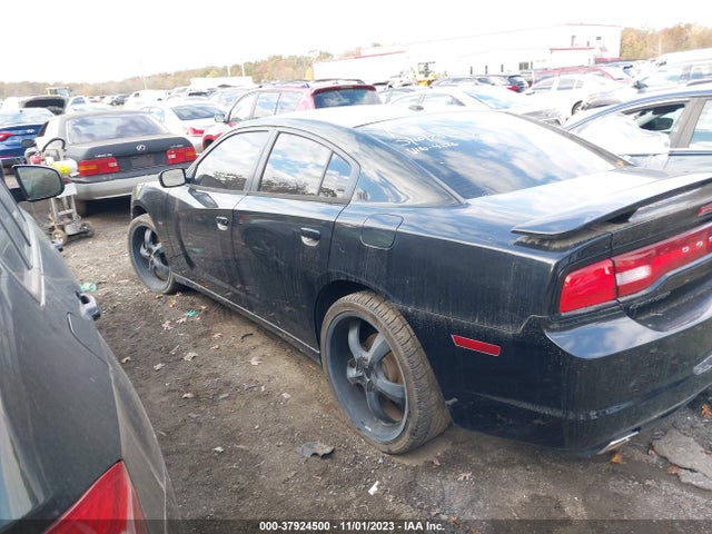 Dodge CHARGER R/T 2014 2C3CDXDT7EH224226 Image 13