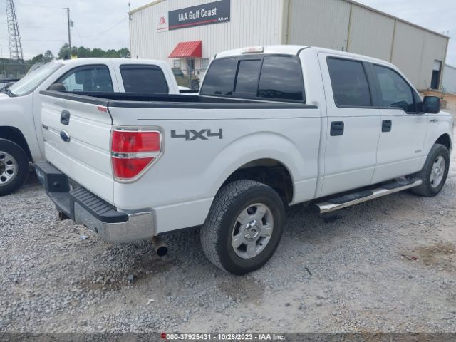 1FTFW1ET3EKE10272 Ford F-150 Xl/xlt/fx4/lariat