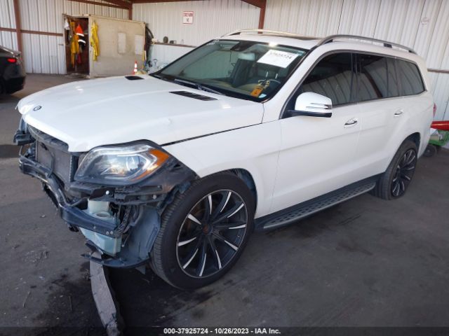 2013 MERCEDES-BENZ GL-CLASS 4JGDF7CE5DA169989 Photo 1