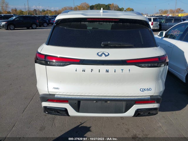 2023 INFINITI QX60 LUXE VIN: 5N1DL1FS0PC345556