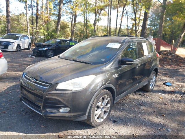 2013 FORD ESCAPE SEL VIN: 1FMCU0H90DUD36214