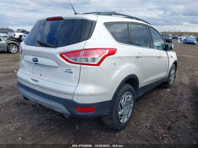 Ford ESCAPE SE 2014 1FMCU9G97EUB35000 Image 4