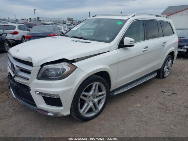 2013 MERCEDES-BENZ GL-CLASS 4JGDF7DE5DA254829 Photo 1
