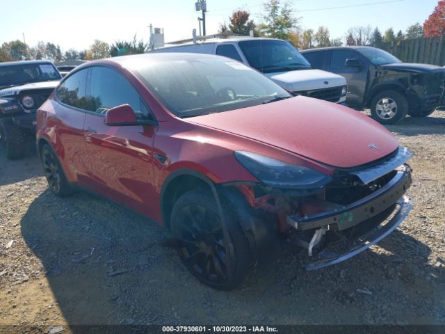 2023 TESLA MODEL Y 7SAYGAEE3PF696764